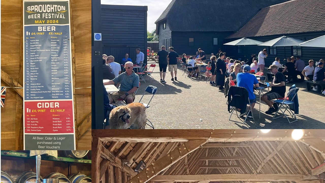 Beer festival