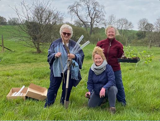 Tree planting