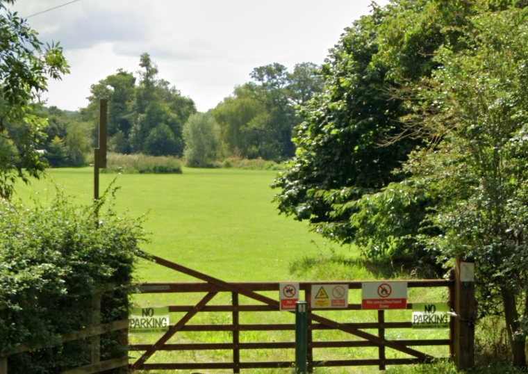 Field view