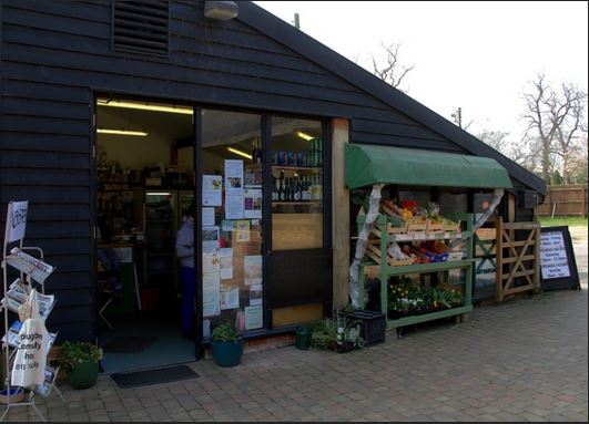 The Shop
